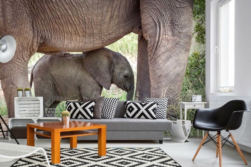 Vlies Fototapete - Elefant von Mutter geschützt 375 x 250 cm